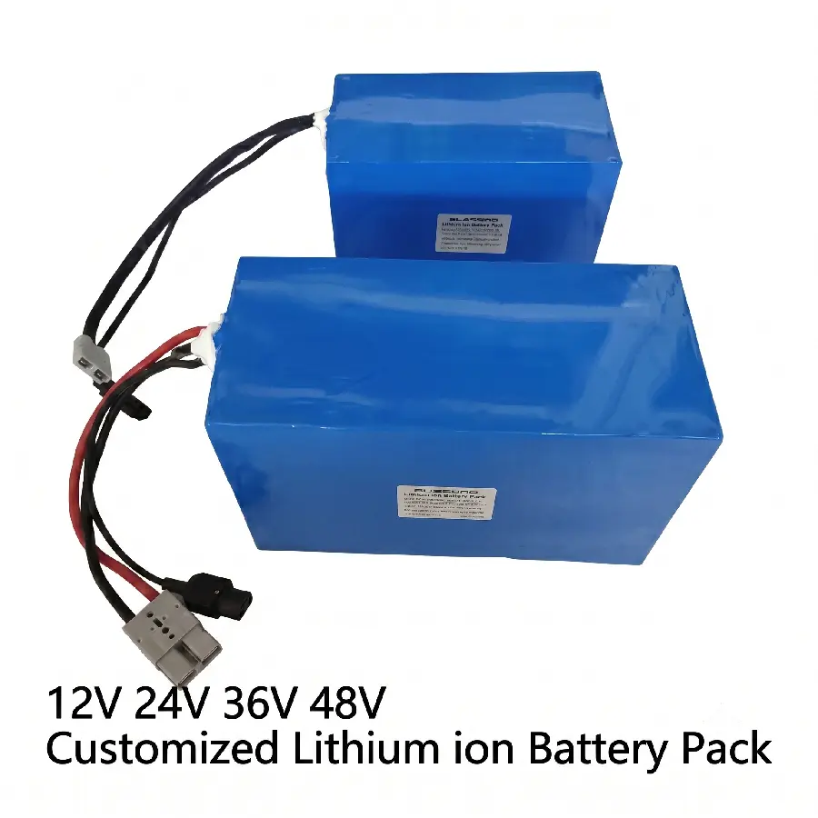 Pacco batterie al litio ricaricabili personalizzate da 48V per robot intelligenti con protezione BMS