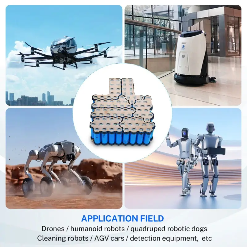 Modulo di potenza affidabile da 30Ah per applicazioni industriali di robot umanoidi