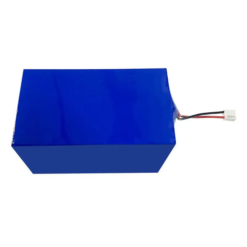 Pacco batterie personalizzate agli ioni di litio da 24V per utensili da giardino elettrici